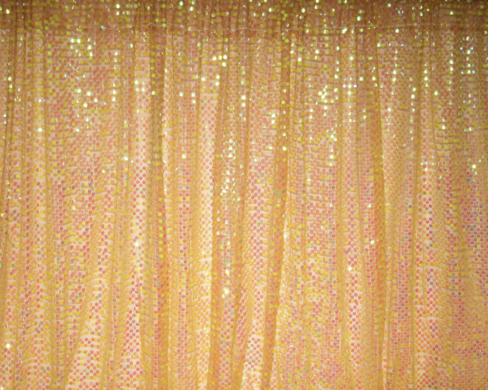 Iridescent gold sequin curtain